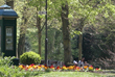  Der Kurpark lädt seit 1823 zum Verweilen ein.